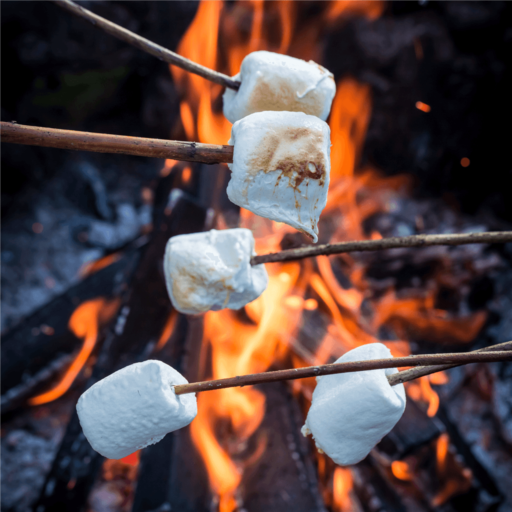 Roasting marshmallows at campfire